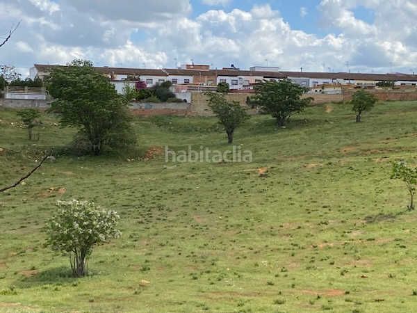 Foto df5c74d2-006d-43f8-b9fb-d924a4f61c5e. Finca rústica a Oromana Alcalá de Guadaira