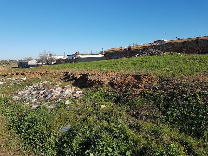 Foto e07ee9c4-9504-405d-83e3-9af35916affa. Finca rústica a Oromana Alcalá de Guadaira