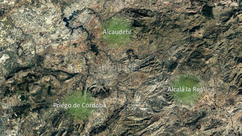 Foto 53bffe06-cdcf-4e46-a483-0b367f7e01c0. Finca rústica a Alcaudete