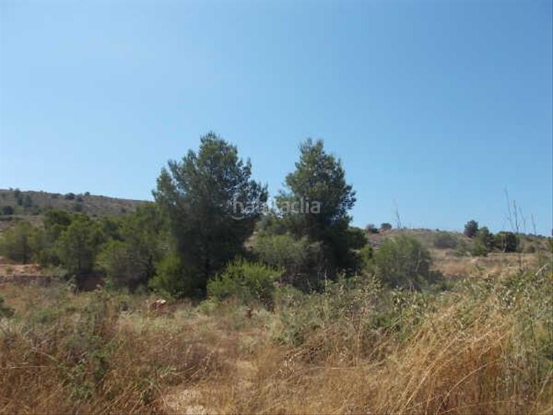 Foto 45f335b9-6a35-4ba8-ad11-263db01b4605. Landgut in Platja de Torres Vila Joiosa (la)