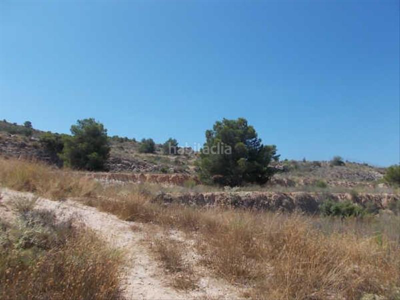 Foto 72d441ee-1da5-4baf-851e-5653bf65f4b8. Landgut in Platja de Torres Vila Joiosa (la)