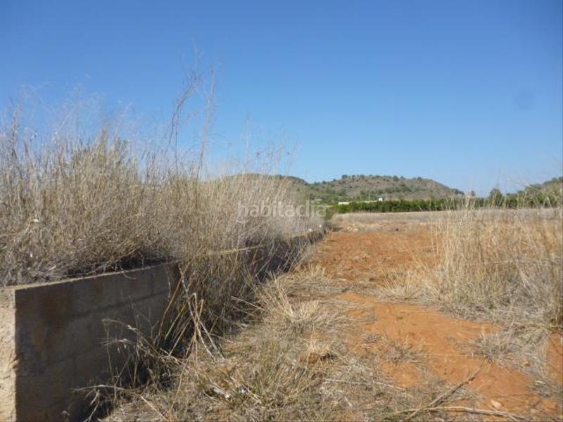 Foto 36e50ffd-af4d-43f9-a702-f39d2e116e70. Finca rústica solvia inmobiliaria suelo rústico en Estivella