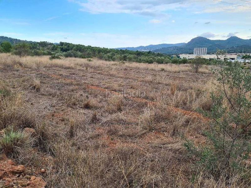 Foto 5b5576a0-2fb7-4663-84dd-fe0ea2e77349. Finca rústica a Estivella