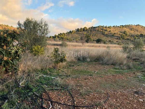 Foto a20617a2-29ec-478f-86c4-87e34fdcb9c5. Finca rústica a Estivella