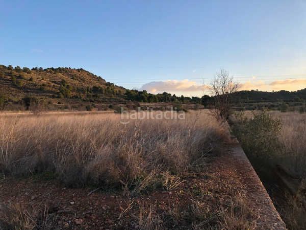 Foto cb94d498-575f-43ba-ac48-7a8ef755caf5. Finca rústica a Estivella