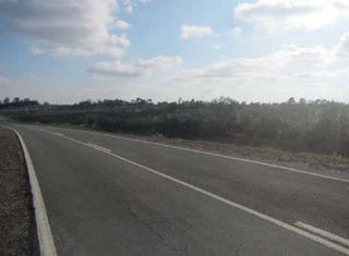 Finca rústica  Pr el encinar poligono 11. Solvia inmobiliaria  suelo rústico niebla