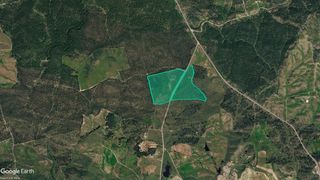 Finca rústica  Paraje el encinar. Solvia inmobiliaria  suelo rústico niebla