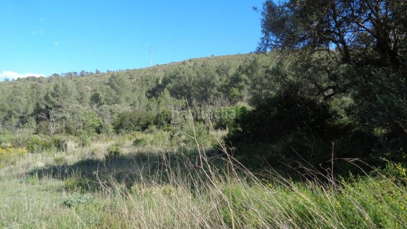 Foto 08800c09-923f-4dd7-a8ad-2919875a3aea. Finca rústica solvia inmobiliaria suelo rústico móra debre en Móra d´Ebre