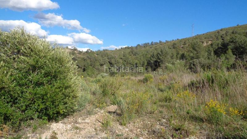 Foto 22e3a6f9-78ab-4b1b-bbf0-d2838981409d. Finca rústica solvia inmobiliaria suelo rústico móra debre en Móra d´Ebre