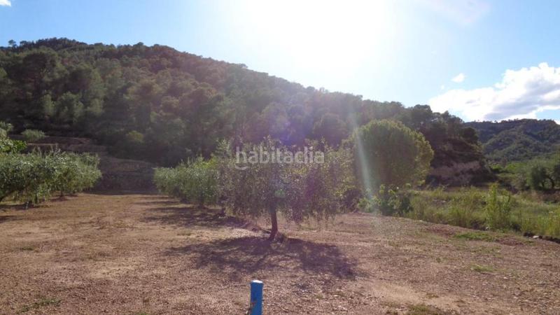 Foto 352cf2dc-cb3f-4e78-9881-b30297dfb8c1. Finca rústica solvia inmobiliaria suelo rústico móra debre en Móra d´Ebre