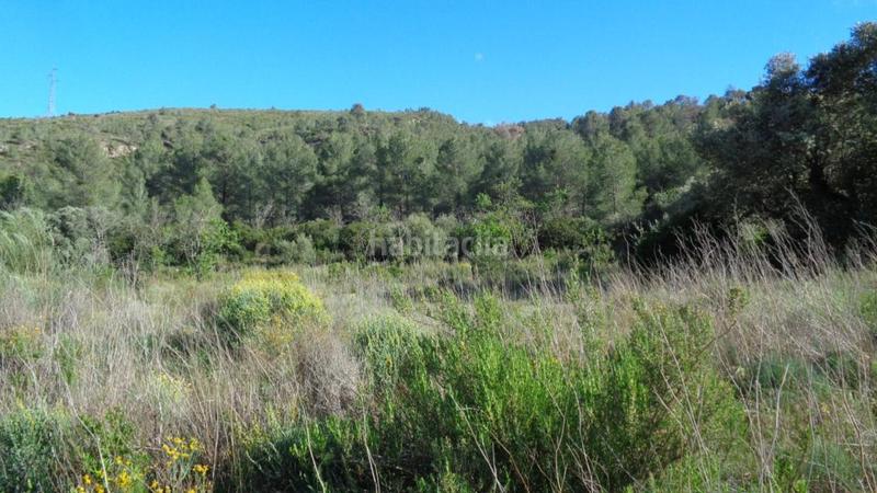 Foto 36fa2582-7a52-4fc0-a3ac-2cf601bb1ab2. Finca rústica solvia inmobiliaria suelo rústico móra debre en Móra d´Ebre