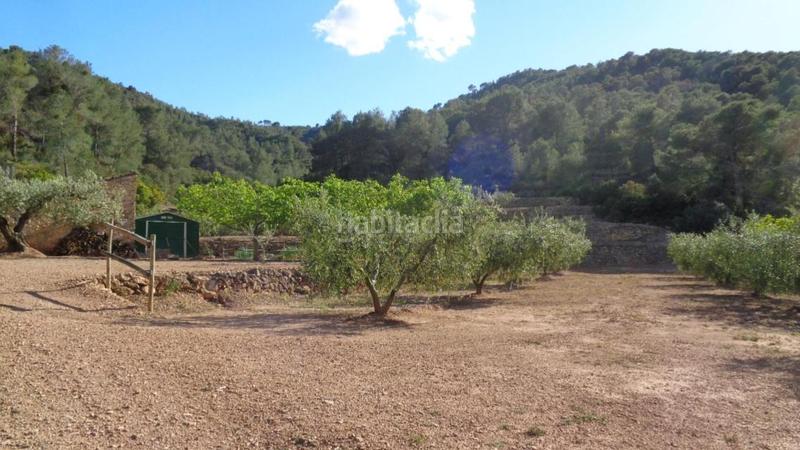 Foto 4d1a5af4-babd-4564-9ab8-ce5848283bc7. Finca rústica solvia inmobiliaria suelo rústico móra debre en Móra d´Ebre