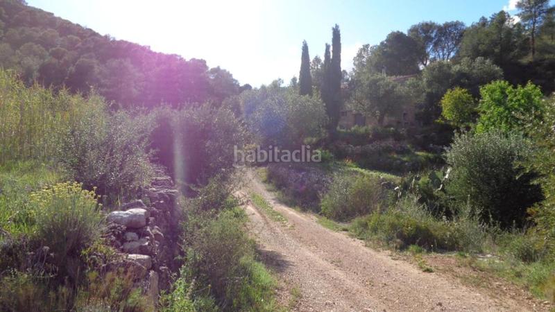 Foto aeb19782-888f-4aef-a78e-3a2855618970. Finca rústica solvia inmobiliaria suelo rústico móra debre en Móra d´Ebre