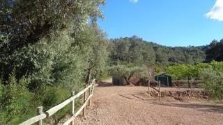Finca rústica  Pesols. Solvia inmobiliaria  suelo rústico móra debre