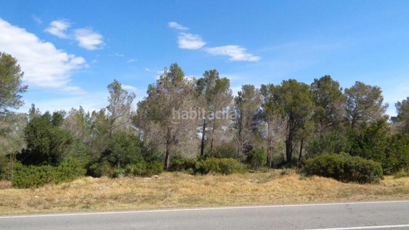 Foto 502427f8-80e0-4ef0-bfbe-6ffa7e4710a2. Propriété dans El Casalot Mont-roig del Camp