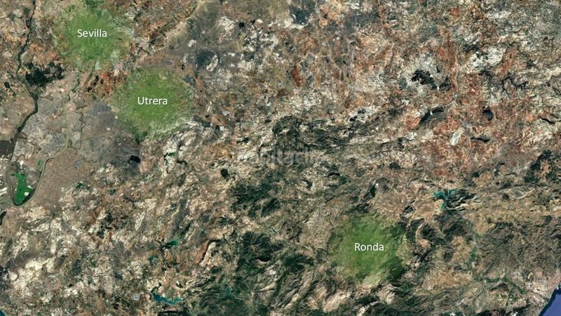 Foto 7a461af7-0456-4c61-8286-2eaf560ffdca. Finca rústica solvia inmobiliaria suelo urbanizable en Utrera