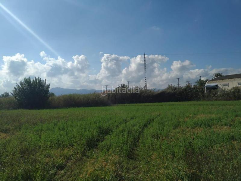 Foto 465ee1c7-5ca2-499e-aa53-66933641431b. Finca rústica a Puente Tocinos Murcia