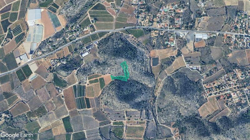 Foto 105588e4-4f03-4b1e-a0fb-575b10ce68ef. Finca rústica a Alfarp