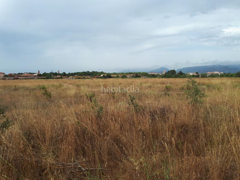 Foto d2378e0a-c349-407d-b8db-923fbbe68429. Finca rústica a Montbrió del Camp