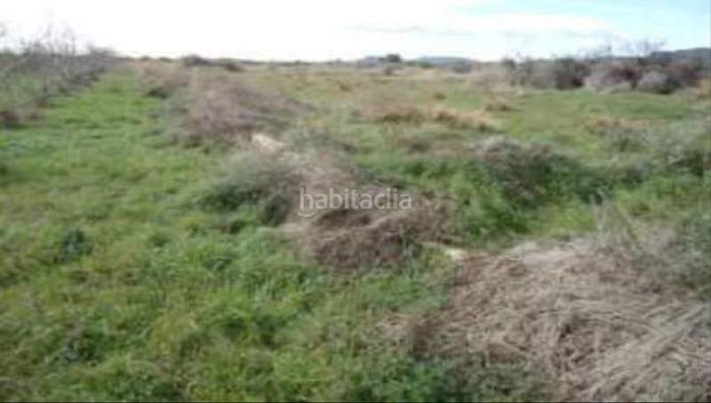 Foto 475d2167-a0d2-4b7f-943f-3d96e1bfa8c4. Fondo rustico in Quartell