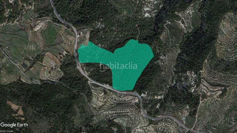 Finca rústica  Sc morera. Solvia inmobiliaria  suelo urbanizable benimantell