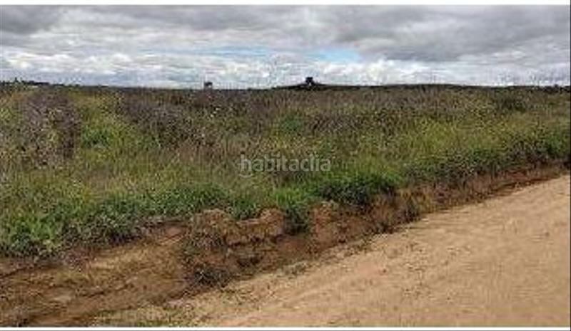 Foto 25e9979b-beaa-4639-8691-78bab8898912. Finca rústica a Bollullos Par del Condado