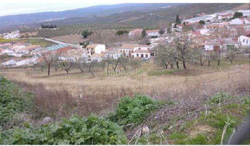 Foto a47af531-1d87-4696-b654-7711bf63b6b9. Finca rústica solvia inmobiliaria suelo rústico en Lahiguera