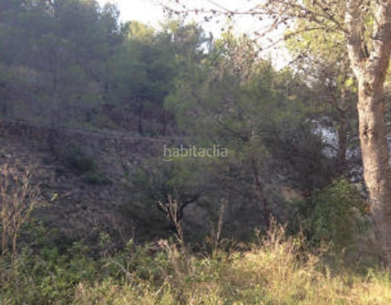Foto 0db24cc5-e3e4-43e6-a48d-bdc67f225af8. Finca rústica solvia inmobiliaria suelo rústico s en Suera