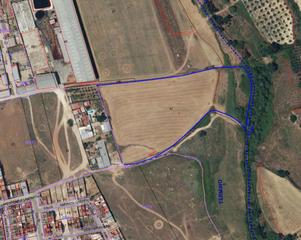 Finca rústica  Lamparilla (la). Solvia inmobiliaria  suelo urbanizable pilas