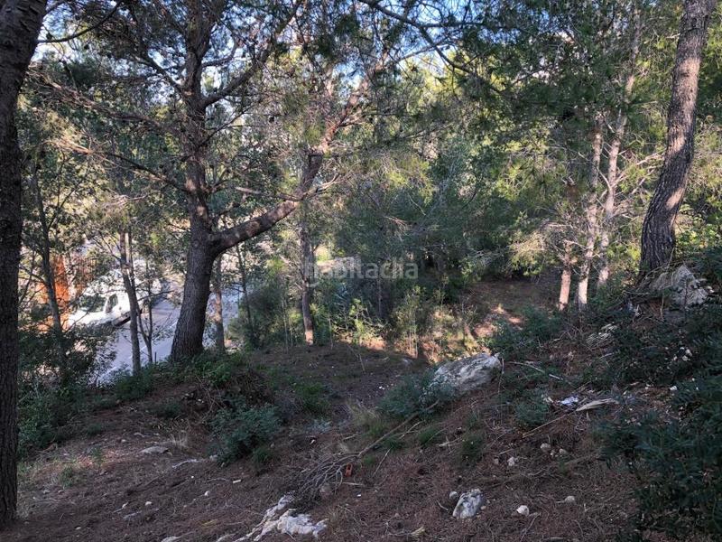 Foto 4ad94505-57fa-4422-a42f-e6e1f276bc49. Finca rústica a pla de maset - cap de Salou Salou