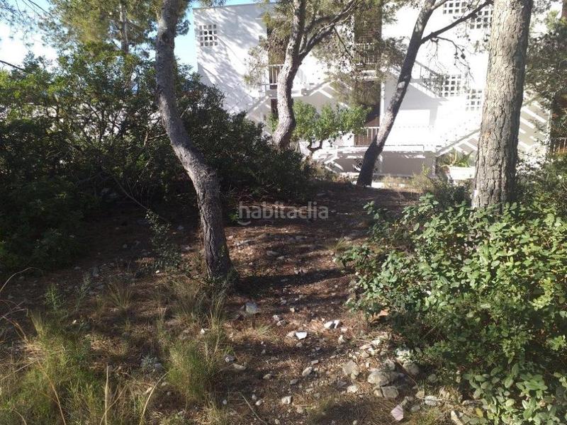 Foto 6f1e6b2b-5005-4058-a467-a5795280a144. Finca rústica a pla de maset - cap de Salou Salou