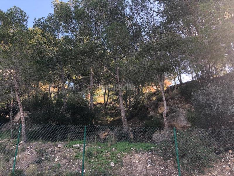 Foto f4dc17f9-068b-45af-9cec-4b7638c23a05. Finca rústica a pla de maset - cap de Salou Salou