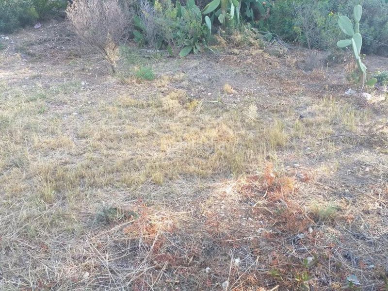 Foto 2a7a2c37-0c1d-4d84-bdde-64a57e158fed. Finca rústica a pla de maset - cap de Salou Salou