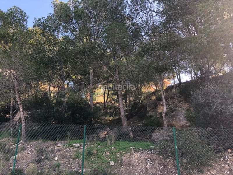 Foto f4dc17f9-068b-45af-9cec-4b7638c23a05. Finca rústica a pla de maset - cap de Salou Salou