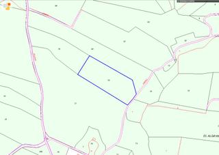 Propriété  Partida de umbria alta. Solvia inmobiliaria  suelo rústico romana la