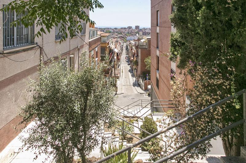 Foto e41f57f7-d66a-4d54-9b0f-7b8a75459025. Fondo rustico in Puigfred Badalona