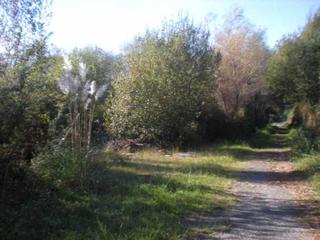 Finca rústica  Tombo. Solvia inmobiliaria  suelo rústico sanxenxo