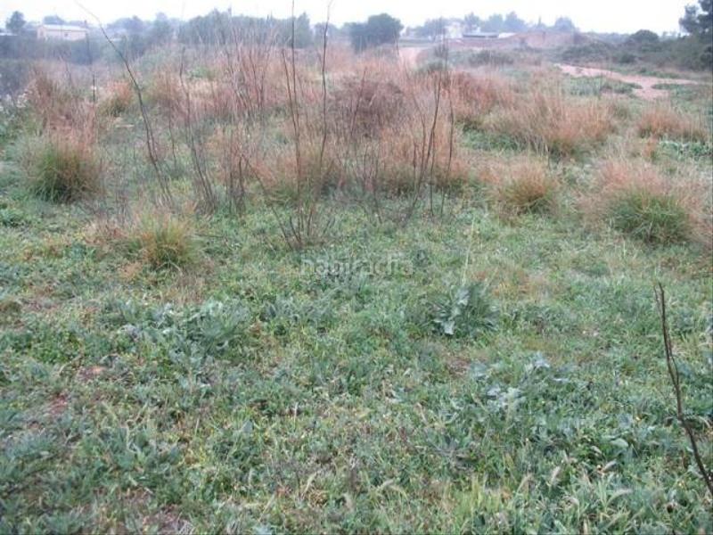 Foto 2eb312dc-f5db-4e79-a272-12ee95439c95. Landgut in Centro Chiva