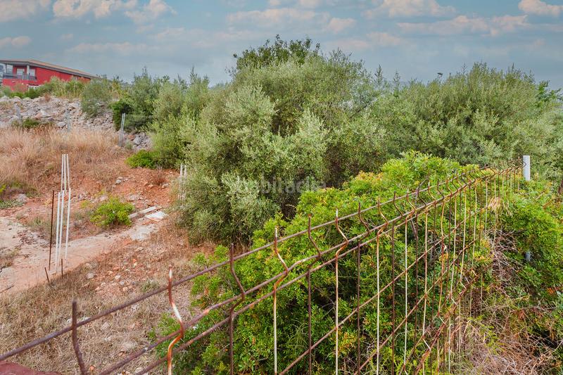 Foto 4a27f553-fdc3-42a9-8c37-b1ceb2a999f6. Propriété dans El Balcó-Jaume I Oropesa del Mar