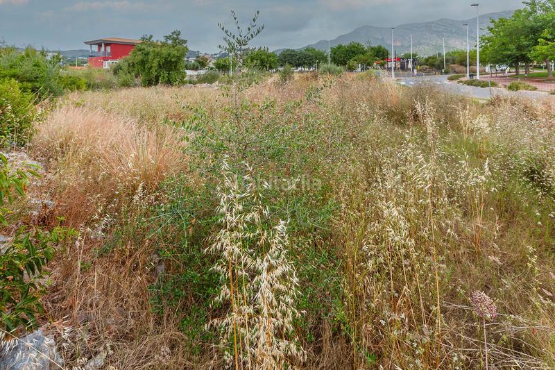 Foto feeba965-6dc9-47b2-be72-967bde93163a. Propriété dans El Balcó-Jaume I Oropesa del Mar