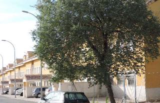 Appartement  C/ esquivias. Solvia inmobiliaria  piso yeles