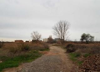 Finca rústica  Lleida. Solvia inmobiliaria  suelo urbanizable torrefarrera