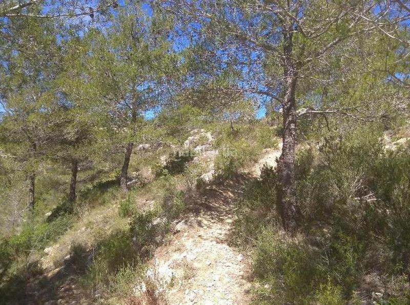 Foto 31b62171-84b7-4eff-b2ee-65380c13560a. Landgut in Urbanitzacions Tortosa