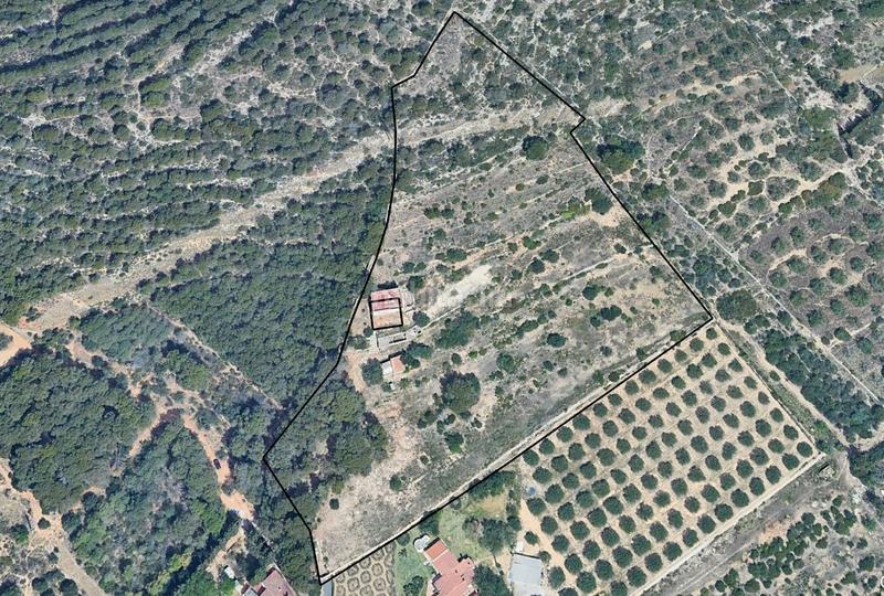 Foto d28f66fc-07a9-452d-8c1f-581848abf2ee. Finca rústica a Urbanitzacions de Llevant Tarragona