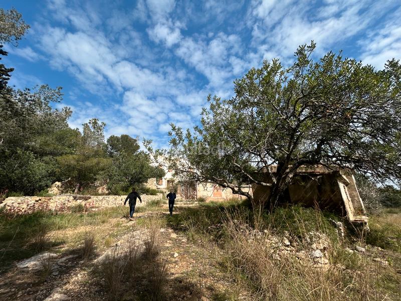 Foto e117c4f7-703f-4c27-a054-f17bc1804817. Finca rústica a Urbanitzacions de Llevant Tarragona
