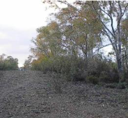 Finca rústica  Dehesa del serrano. Solvia inmobiliaria  suelo rústico guillena