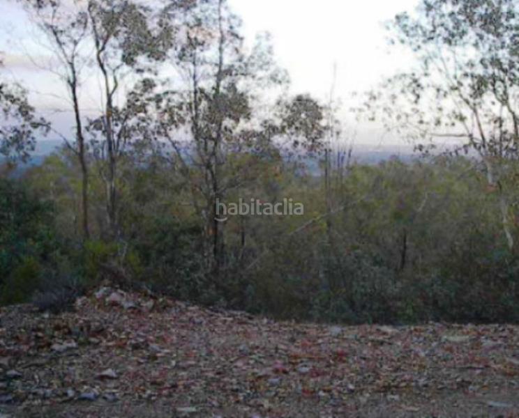 Foto 973edc10-b377-4d1b-b1c6-46ed40d59a18. Finca rústica a Los Lagos Guillena