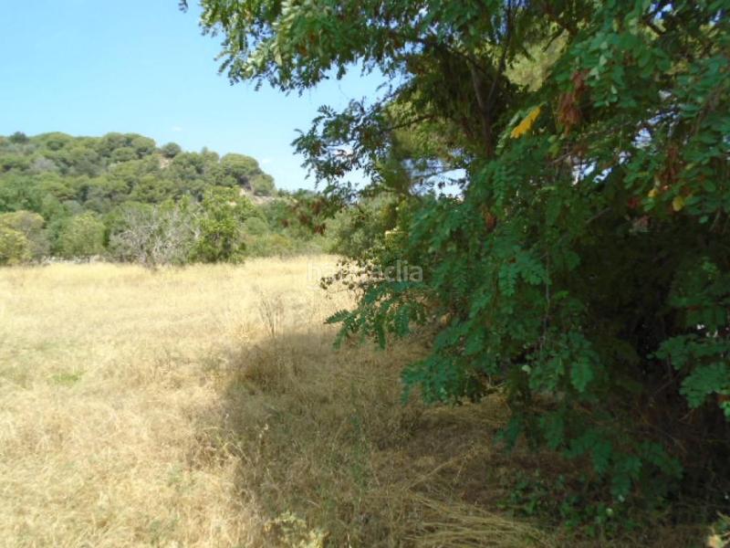 Foto 967ac546-9c29-48a1-9197-631ee5bc2d4e. Rural plot in Can Illa Garriga (La)