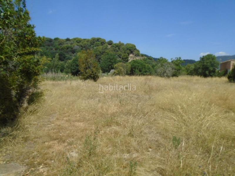 Foto eabccad9-7553-4285-9f6a-bda15502cdf5. Rural plot in Can Illa Garriga (La)