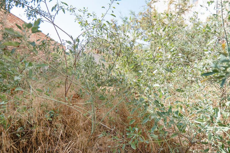 Foto 15a11bf4-03f5-4f4c-b35a-74a7412438f1. Landgut in Espinardo Murcia